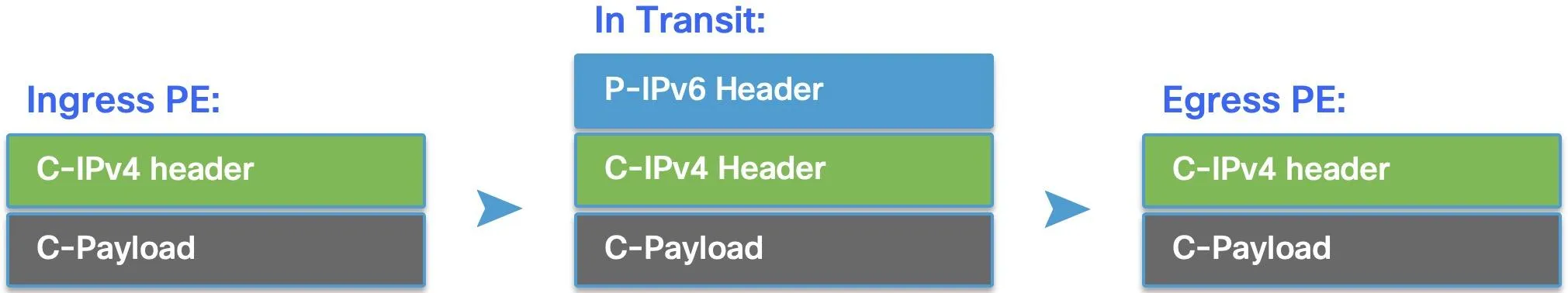 IPv4 customer traffic encapsulation